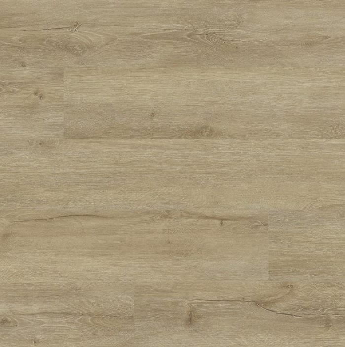 MSI Cyrus Sandino LVT Flooring