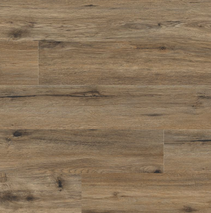 MSI Cyrus® Fauna® Luxury Vinyl Planks