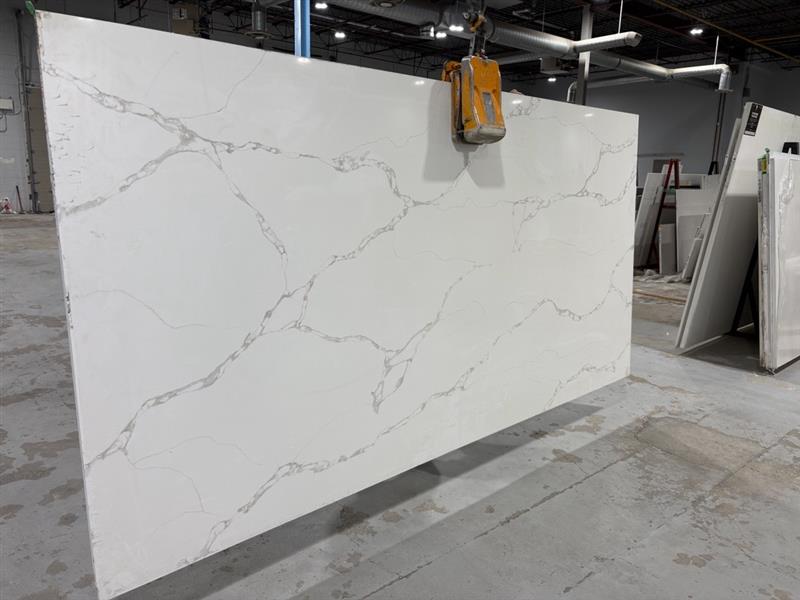 Q Calacatta Mirgaggio Cove Polished